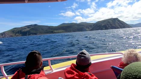 Bruny-Island,-Tasmanien,-Australien---15.-März-2019:-Passagiere-Auf-Einem-Boot-Schauen-Und-Fotografieren-Einen-Albatros-Vor-Bruny-Island,-Tasmanien