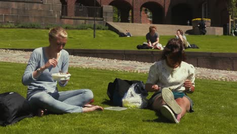 Close-up-of-two-young-women-sitting-on-the-lawn-eating-lunch-and-talking-as-they-enjoy-a-sunny-and-windy-summer-afternoon