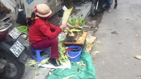 Woman-Fanning-Street-Food-in-Hanoi-Vietnam