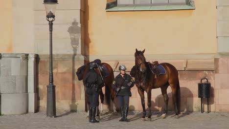 Guardias-Del-Palacio-Real-De-Estocolmo-De-Guardia