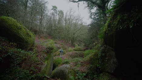 Erwachsener-Mann-Springt-über-Eine-Lücke-Im-Wald-Mit-Mit-Moos-Bedeckten-Felsbrocken