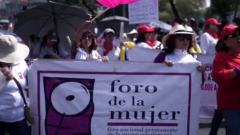 A-crowd-of-women-are-protesting-in-the-streets-of-Quito-demanding-rights,-protection-against-abuse-increase-towards-women-and-gender-equality