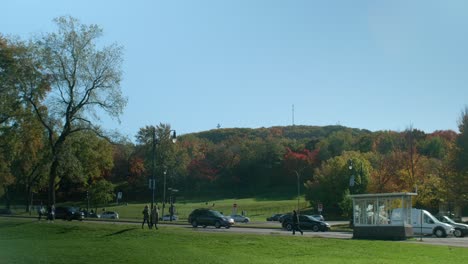 Blick-Auf-Den-Park-Mit-Bushaltestelle-Und-Herbstlichem-Wald-Im-Hintergrund