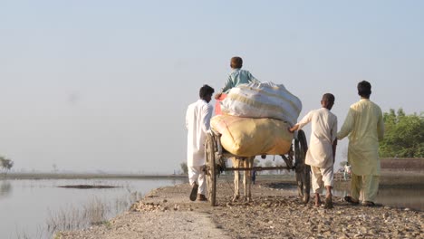 Blick-Hinter-Eine-Gruppe-Von-Menschen-Mit-Einer-Kuh,-Die-Einen-Holzkarren-Mit-Säcken-Durch-Die-überflutete-Landschaft-In-Sindh-Zieht