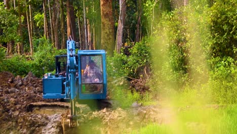 Sumitomo-Backhoe-clears-out-an-area-in-a-lush-acre-of-woods