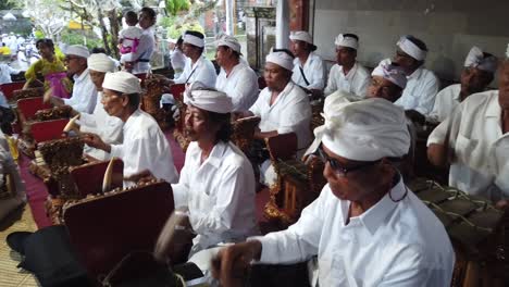 Senior-Men-Play-Gamelan-Music-in-Bali-Indonesia-at-Temple-Ceremony-wearing-White-Outfits,-Religious-Performance-near-a-Colorful-Garden