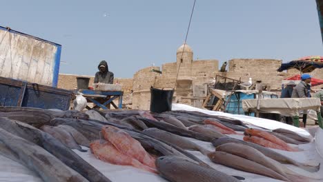 Low-angle-view,-preparing-fish-for-sale-in-the-market-in-Essaouira,-Morocco