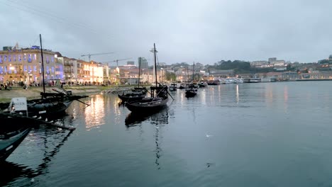 Slow-establishing-shot-of-bird-standing-on-top-of-excursion-boats-in-Porto