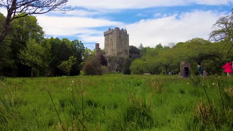 Die-Wunderschönen-Farben-Der-Blarney-Castle-Gardens-Wild-Meadow-Cork-Irland