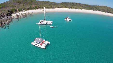 three-catamarans-sit-on-beautiful-green-water-in-the-Whitsundays