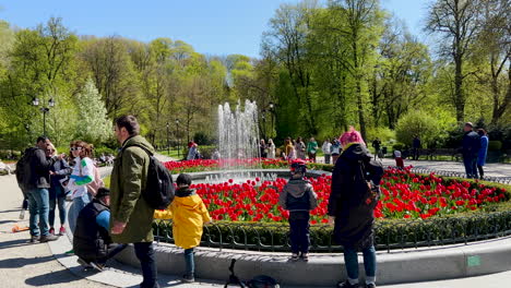 Gente-Alrededor-De-Tulipanes-Rojos-En-Una-Fuente-Danzante-En-Vilnius,-La-Belleza-De-La-Primavera-En-La-Capital-De-Lituania.
