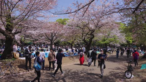 People-Walk-Through-Yoyogi-Park-During-Sakura-Season