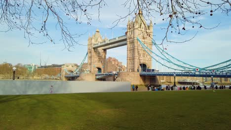 tower-bridge-london-under-tree-branches-blue-sky-sunny-day