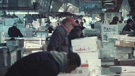 Local-fish-shops-busily-sort-through-their-seafood-in-boxes-for-auction-at-a-Tsukiji-fish-market