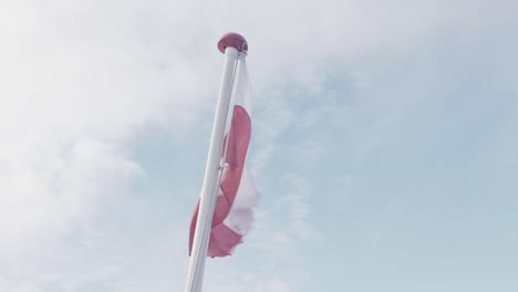Greenland-Flag-Waving-In-Wind-On-Mast