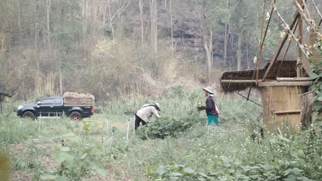 Farmers-working-on-a-farm-in-Aisa