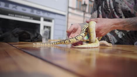 A-man-shows-off-snakes-to-children-who-pet-them