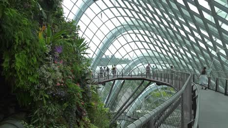 Tourists-stroll-on-footbridge-cloaked-by-Glass-Dome-in-Singapore-Gardens---Wide-static-shot