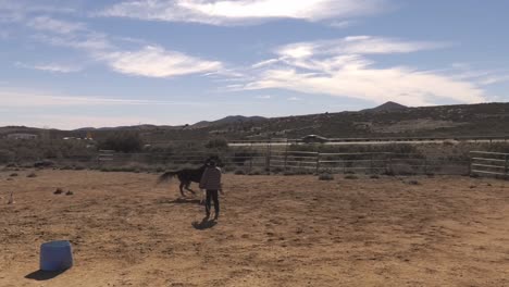 Mann-Rund-Herumpferchendes-Wildpferd-In-Engem-Gehege-In-Arizona,-USA-–-Statische-Weitwinkelaufnahme