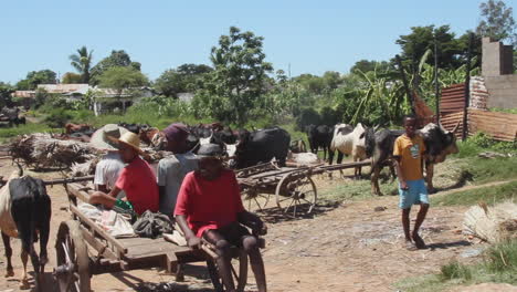 Einheimische-Werden-Von-Einer-Kuh-Auf-Einem-Karren-Auf-Einer-Unbefestigten-Straße-In-Madagaskar-Gezogen
