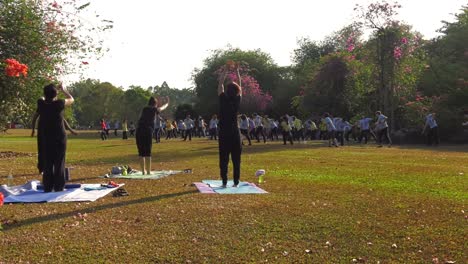 Large-groups-of-people-Outdoors-in-Singapore-public-Park-doing-Tai-Chi---Wide-static-shot