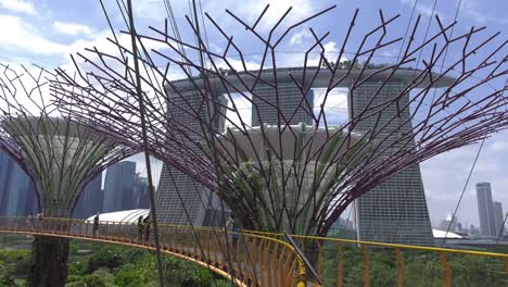 Touristen-Laufen-Entlang-Des-Singapore-Park-Skyway-Und-Bewundern-Die-Baumkronen-Der-Supertrees-–-Mittelweite-Statische-Aufnahme