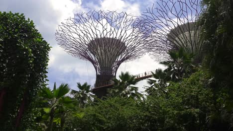 Súper-árboles-Y-Pasarela-En-Los-Jardines-Botánicos-De-Singapur.