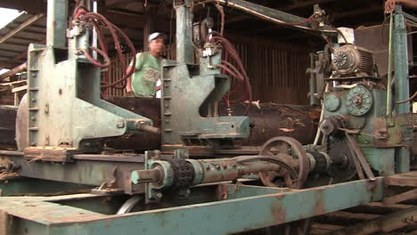 Large-Tree-Trunk-Being-Rolled-On-Saw-Machine-And-Moved-On-Rails