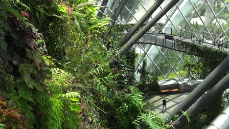view-onto-the-two-floors-surrounding-Cloud-Forest-Garden,-Singapore---Wide-Static-shot