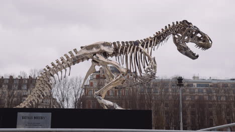 Aluminum-Skeleton-Of-A-T-Rex-Dinosaur-Stands-Near-The-River-Of-Seine-In-Paris,-France