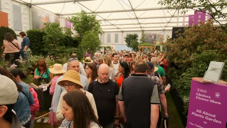 Large-crowds-of-people-walking-through-Chelsea-flower-show-exhibits