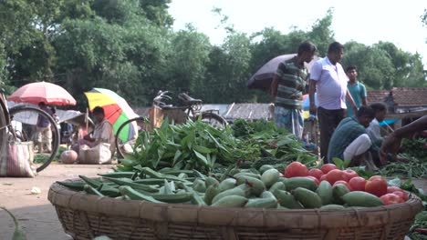 Stock-footage-of-Indian-village-market