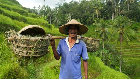 Slow-motion-dolly-shot-of-a-field-worker-on-the-tegallalang-rice-terraces-on-bali-in-indonesia-wearing-a-bamboo-coulter-and-a-rice-hat