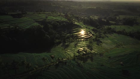 Toma-Aérea-Establecida-De-Tierras-De-Cultivo-En-Terrazas-De-Arroz-Verde,-Cerca-De-Un-Hermoso-Paisaje-Sensorial,-Sol-Reflejado-Directamente-En-El-Agua-De-La-Granja-En-La-Terraza-De-Arroz-Por-La-Noche,-Bali,-Indonesia