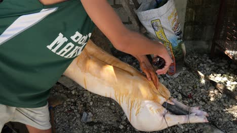 April-22,-2023-Danao-City,-Cebu,-Philippines---A-Man-is-Rubbing-Soy-Sauce-on-a-Lechon-Baboy-or-Suckling-Pig-Preparing-it-to-be-Roasted-over-Fire
