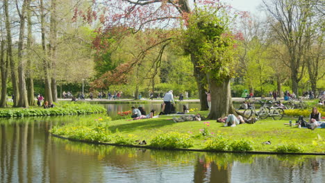 People-Relaxing-by-the-Water-in-Vondelpark,-Amsterdam-on-a-Sunny-Day