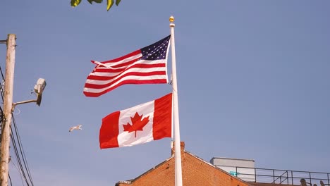 American-and-Canadian-flags-share-space-on-single-flag-pole