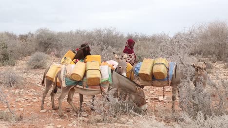 Afrika,-Kenia,-Kenianisch-somalische-Grenze-–-Eine-Gruppe-Kenianischer-Frauen-Trägt-Wasser-Auf-Dem-Rücken-Und-Esel-Zu-Ihren-Häusern