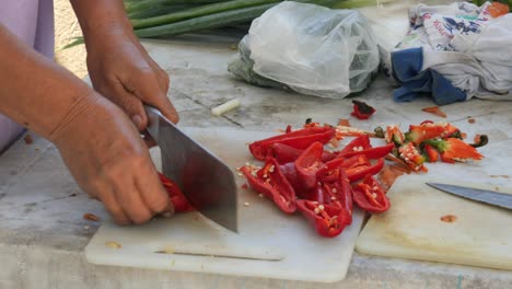 April,-22-2023,-Danao-City,-Cebu,-Philippines---Woman-Cutting-Bell-Pepper-Preparing-Ingredients-for-a-Traditional-Filipino-Dish