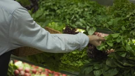 Woman-in-apron-refill-the-fresh-greens-on-the-shelf-at-the-supermarket