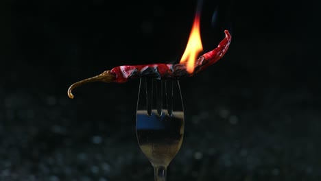 Bangladesh's-Flaming-Flavor:-Dry-red-Chili-on-a-Fork