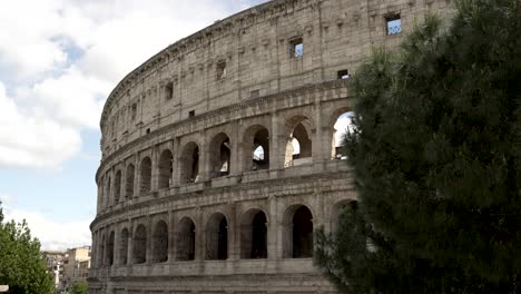 Vista-Del-Coliseo-De-Roma-Con-Un-árbol-En-Primer-Plano.