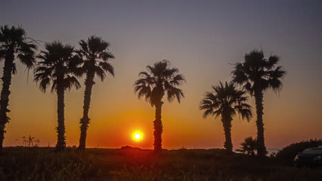 Golden-Leuchtender-Sonnenaufgang-Mit-Einer-Feurigen-Sonne,-Die-Zwischen-Palmen-An-Einem-Strand-In-Zypern-Aufgeht---Zeitraffer