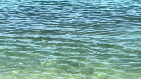 Slow-motion-scene-of-tropical-beach-with-group-of-fish-in-clear-green-sea-water,-Andaman-sea,-Krabi,-travel-in-Thailand,-summer-holiday-vacation-travel-trip