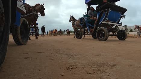 Caravan-of-horses-pulling-carriages-and-camels-across-Tunisian-desert,-Tunisia
