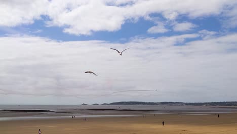 Red-Arrows-Fighter-Planes-Crossing-Paths-in-Near-Miss-Over-Swansea-Bay-During-Air-Show