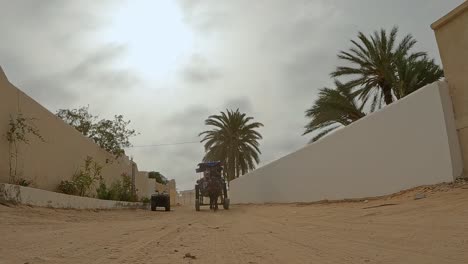 Low-angle-front-view-of-trotting-harnessed-horse-pulling-carriage-with-tourists-through-dusty-unpaved-streets-of-Djerba-in-Tunisia
