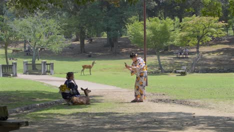 Two-Japanese-girls-in-Kimonos,-taking-pictures-with-a-deer-in-Nara-Park,-Japan