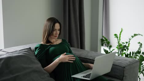 Young-pregnant-woman-freelancer-working-at-laptop-at-home-on-coach-or-sofa