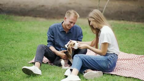 A-guy-with-a-girl-on-a-picnic-spends-time-with-the-dangers-of-a-pet.-In-the-park-with-the-dog.-Happiness,-pets